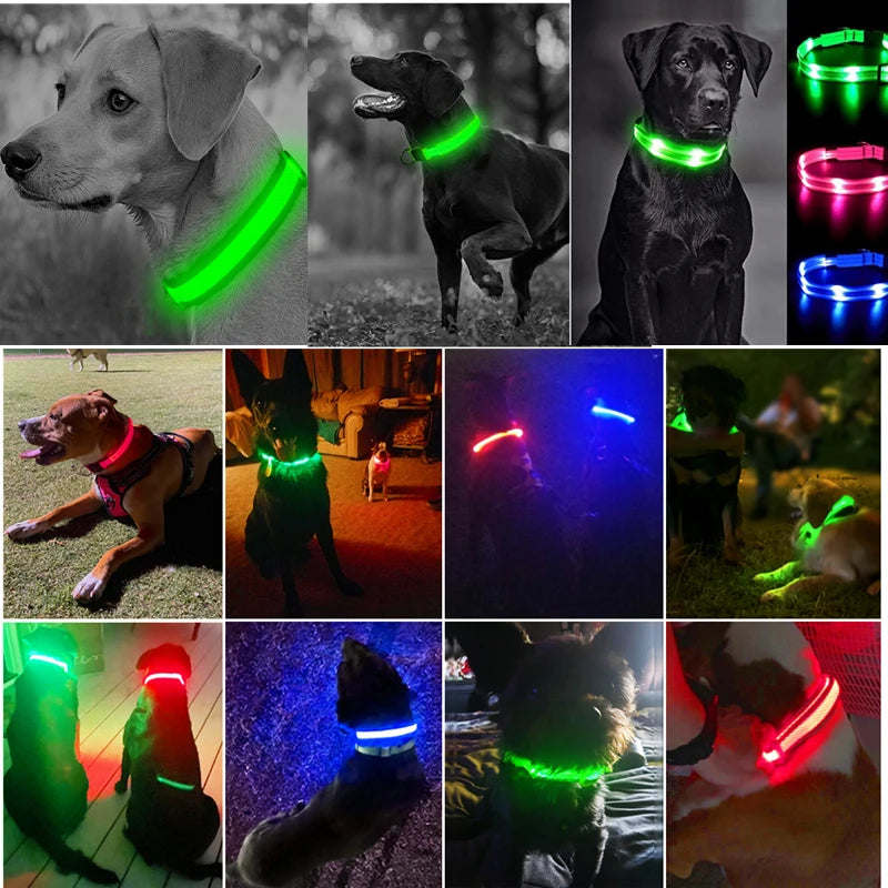 Coleira de cão brilhante, Piscando ajustável, Coleira Luminous Night, LED recarregado.