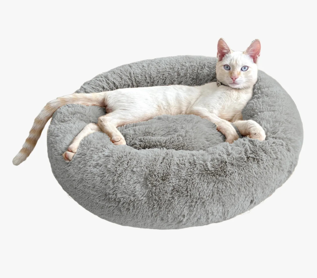 Cama Pet De Pelucia para Cachorro E Gato, Caminha Pet Redonda Macia Fofa, Cachor