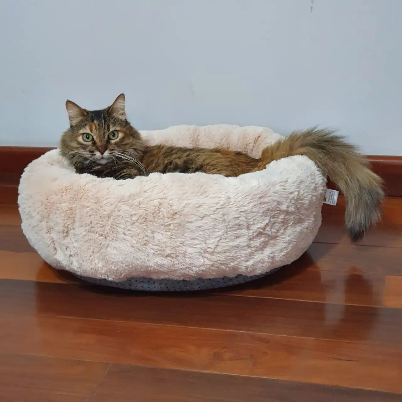 Cama Pet De Pelucia para Cachorro E Gato, Caminha Pet Redonda Macia Fofa, Cachor